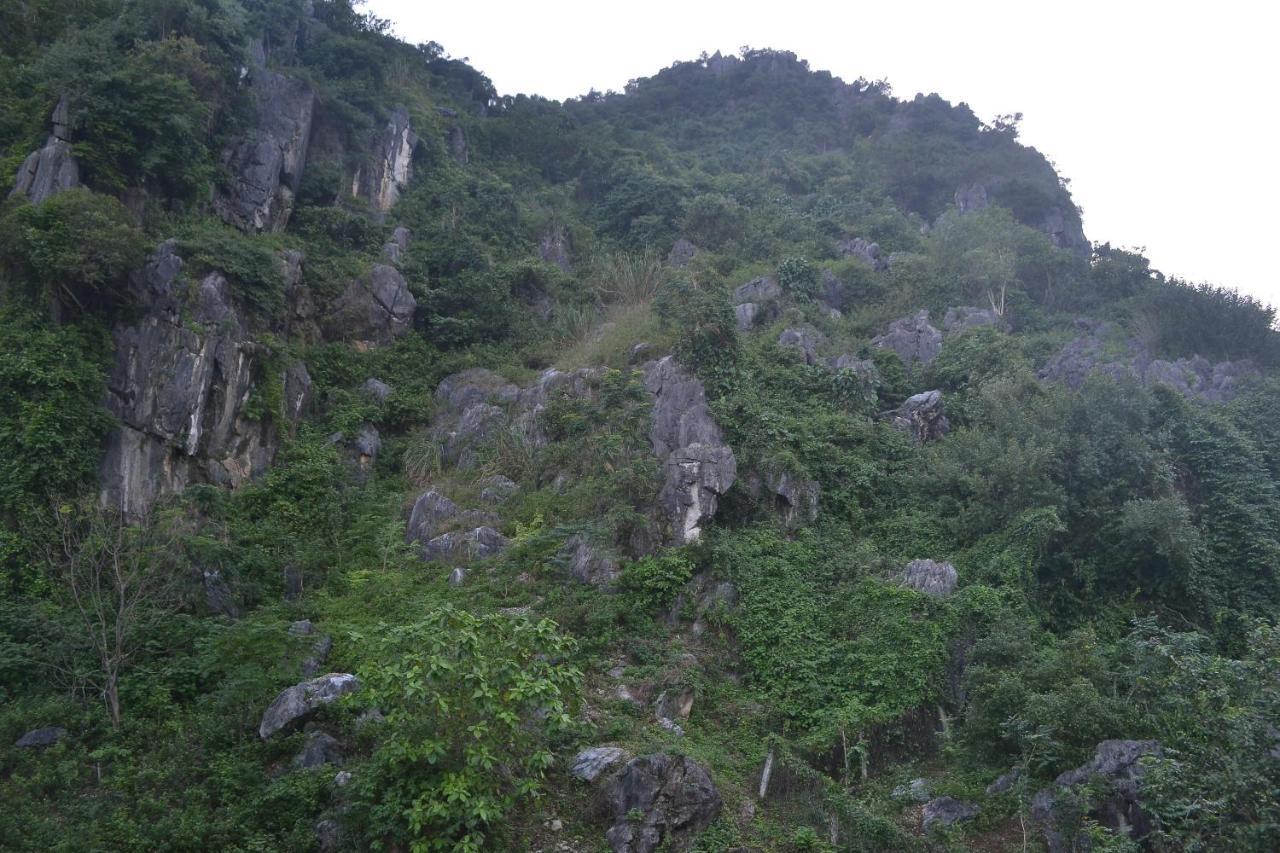 Phong Nha Homestay Zewnętrze zdjęcie